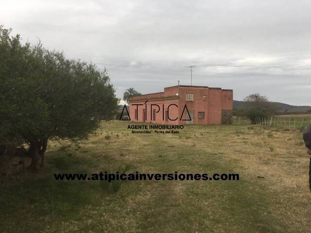 #8 - Campo Productivo para Venta en San Carlos - UY-MA - 1