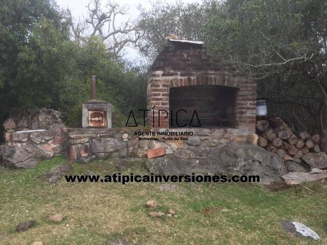 Campo Productivo para Venta en San Carlos - 4