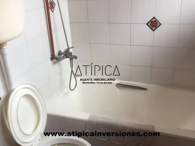 Campo Productivo para Venta en San Carlos - 5