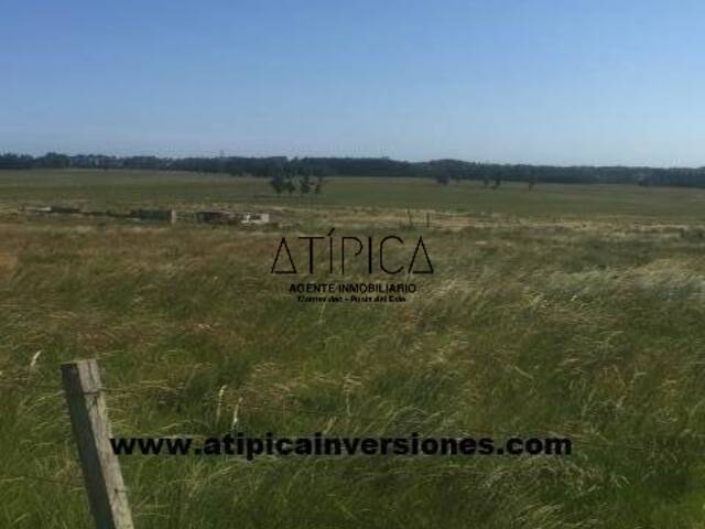 Chacra para Venta en Maldonado - 4