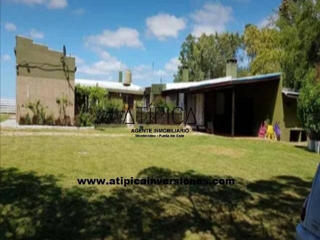 Campo Productivo para Venta en Maldonado - 5