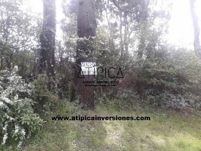 #4 - Terreno o Lote para Venta en Punta del Este - UY-MA - 1