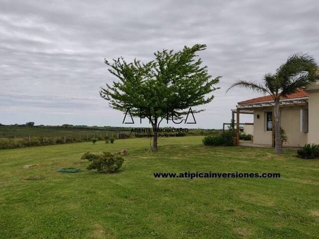 Campo Productivo para Venta en Tarariras - 5