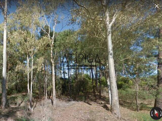 Venta en Pinares - Maldonado