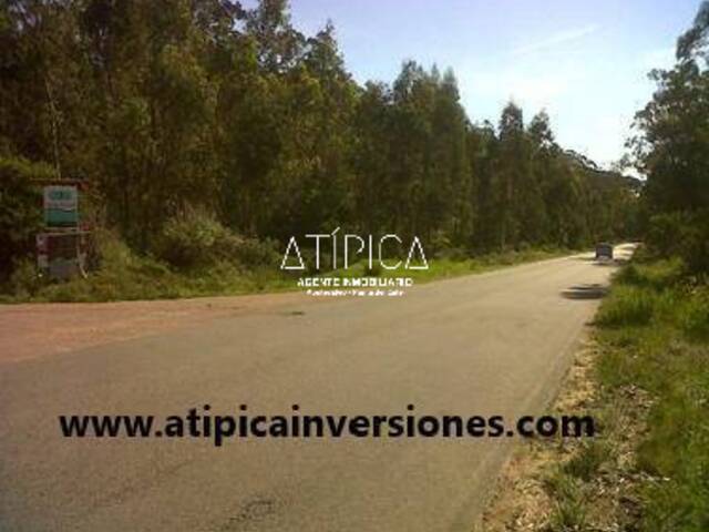 Terreno o Lote para Venta en Maldonado - 5