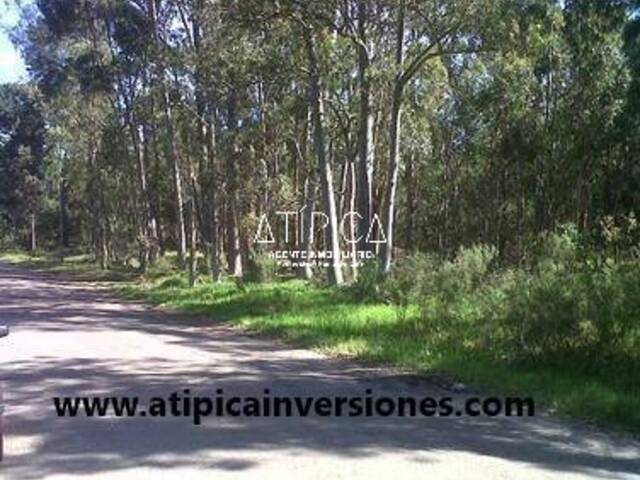 Terreno o Lote para Venta en Maldonado - 4