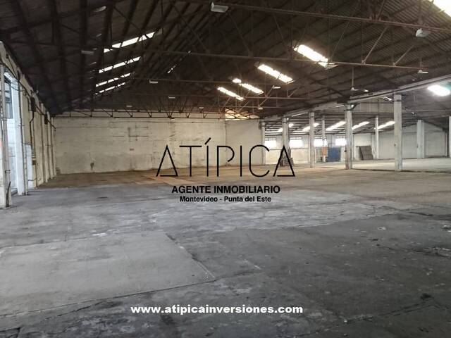 Edificio comercial para Alquiler en Montevideo - 4