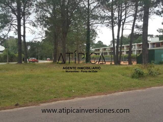 Terreno o Lote para Venta en Punta del Este - 4