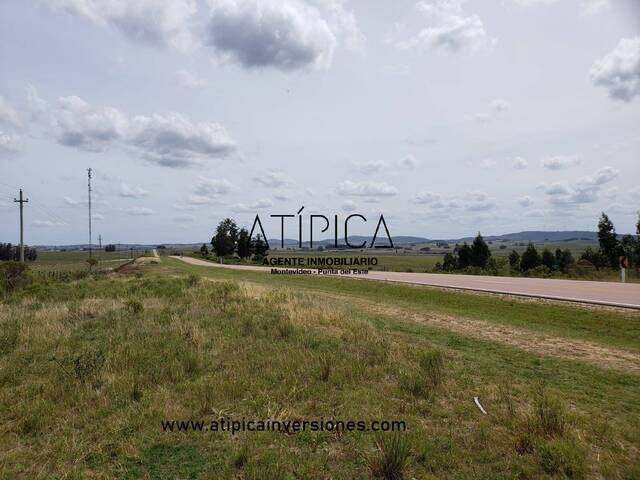 #33 - Campo Productivo para Venta en San Carlos - UY-MA