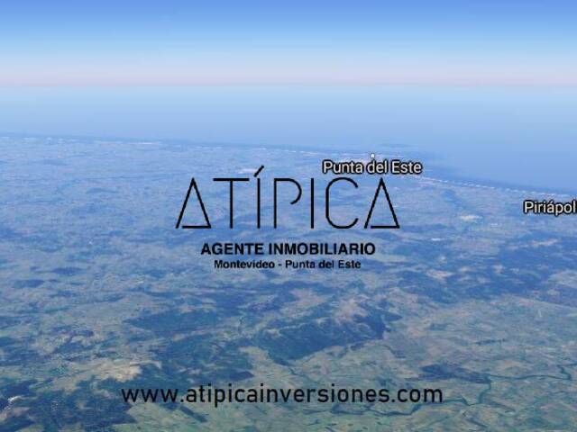 #33 - Campo Productivo para Venta en San Carlos - UY-MA