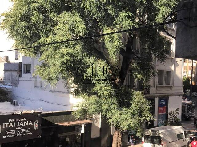 Vista a la calle