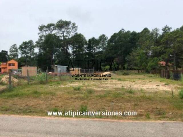 #36 - Terreno o Lote para Venta en Maldonado - UY-MA - 1