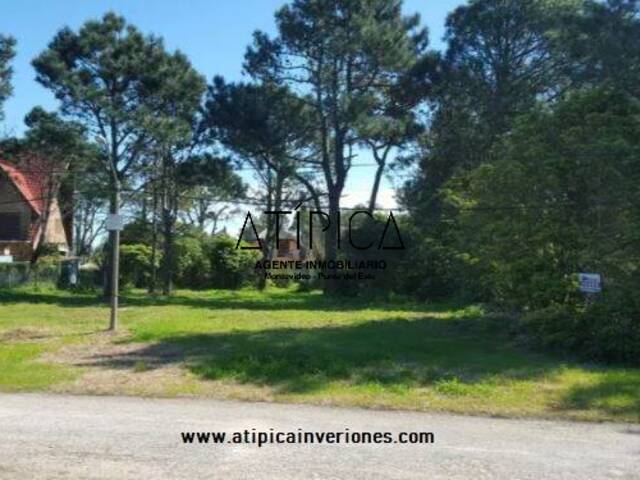 #38 - Terreno o Lote para Venta en Punta del Este - UY-MA - 1