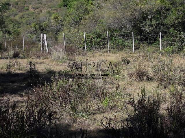 #51 - Campo Productivo para Venta en Aiguá - UY-MA - 2