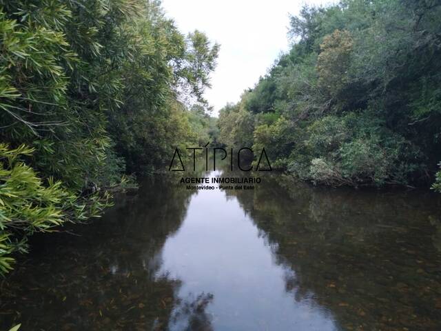 Venta en Ruta 39 - San Carlos