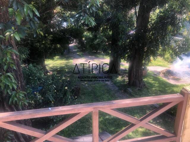 Casa para Alquiler en Punta del Este - 5
