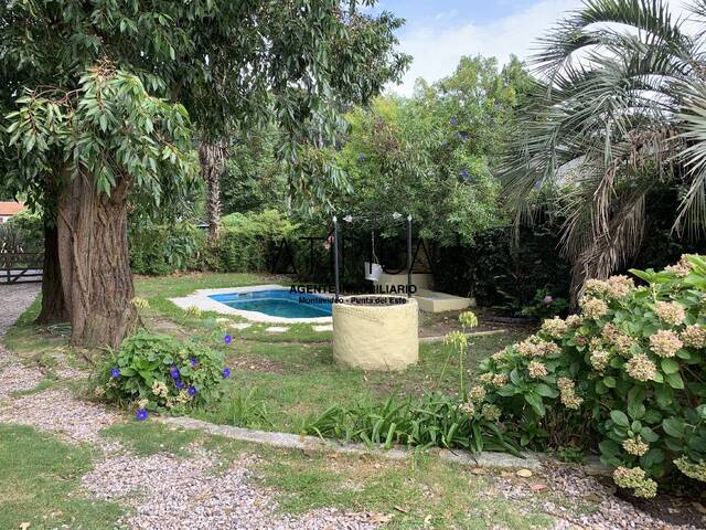 Casa para Alquiler en Punta del Este - 4