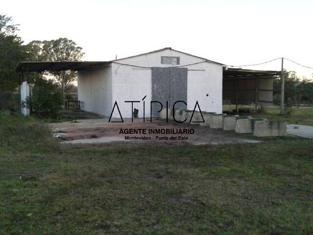  para  en  - 5