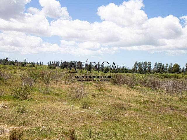 Chacra para Venta en Maldonado - 5