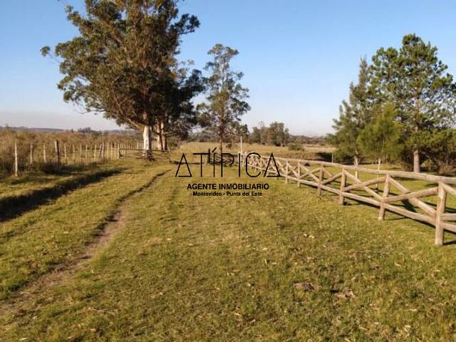 Campo Productivo para Venta en San Carlos - 4