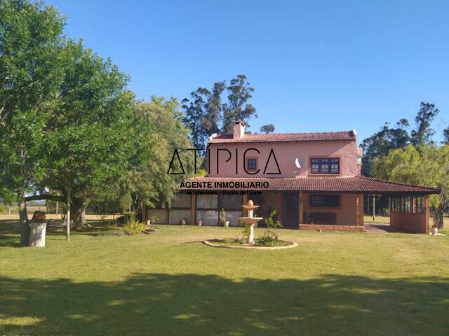 Campo Productivo para Venta en San Carlos - 5