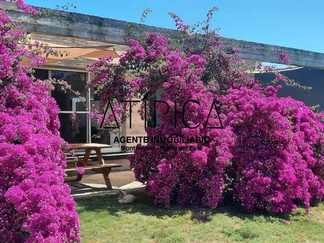 Alquiler en PUNTA BALLENA - Punta del Este