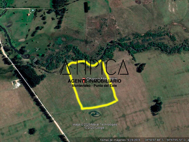 #84 - Chacra para Venta en Punta del Este - UY-MA