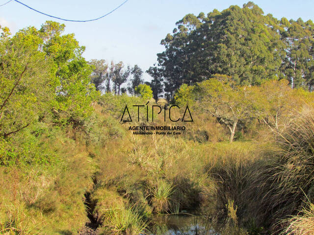 Chacra para Venta en Punta del Este - 5