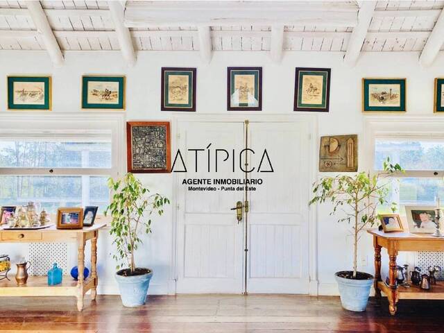 Chacra para Venta en Punta del Este - 4