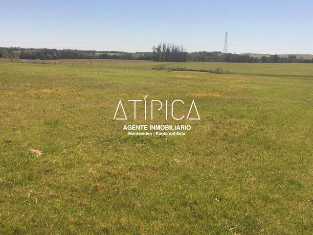 Venta en Ruta 104 - Maldonado