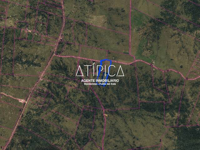 #175 - Chacra para Venta en San Carlos - UY-MA - 2