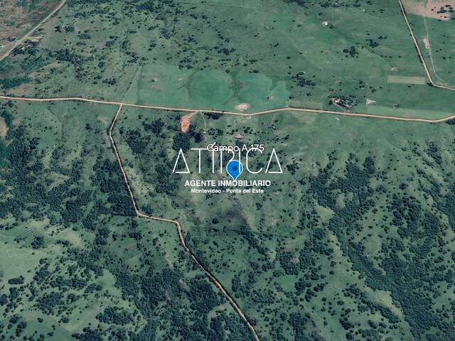 Chacra para Venta en San Carlos - 5