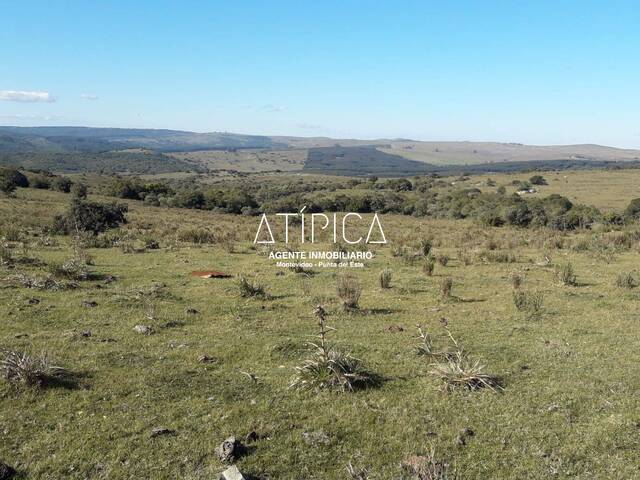 #176 - Chacra para Venta en Solís de Mataojo - UY-LA - 1