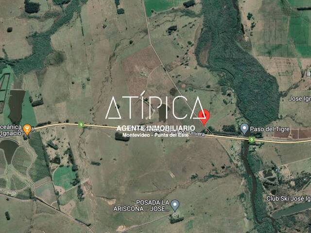 #177 - Campo Productivo para Venta en San Carlos - UY-MA - 1