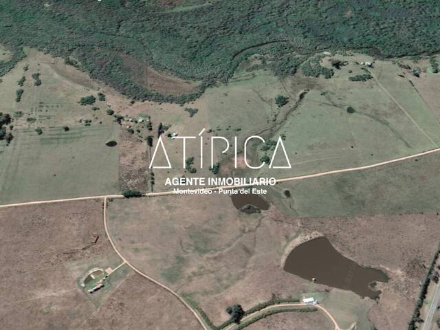 #177 - Campo Productivo para Venta en San Carlos - UY-MA - 2