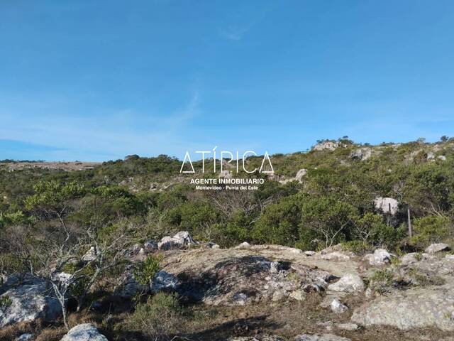 Chacra para Venta en San Carlos - 5