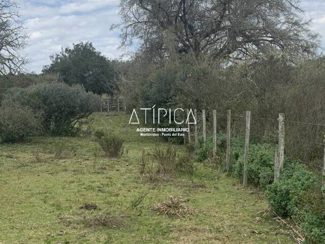 #189 - Campo Productivo para Venta en Aiguá - UY-MA - 2