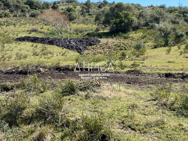 #190 - Chacra para Venta en San Carlos - UY-MA - 2