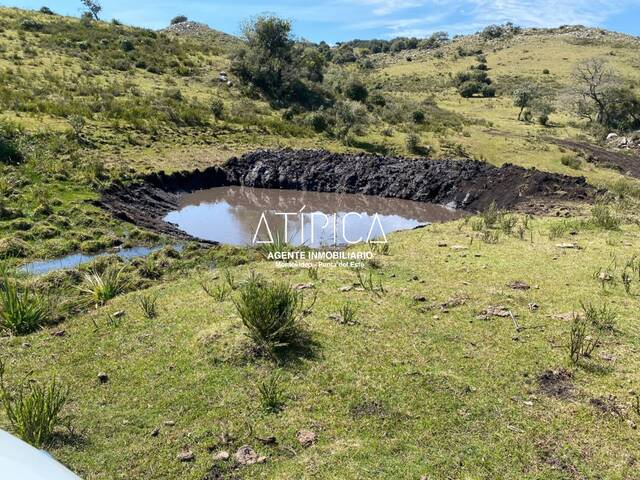 #190 - Chacra para Venta en San Carlos - UY-MA - 3