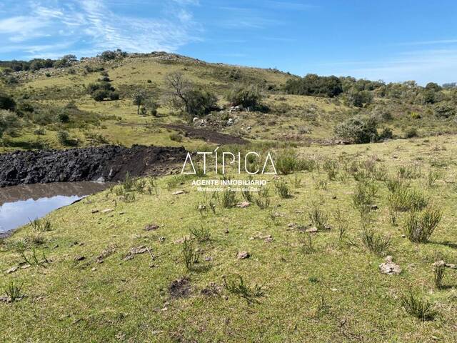 #190 - Chacra para Venta en San Carlos - UY-MA - 1