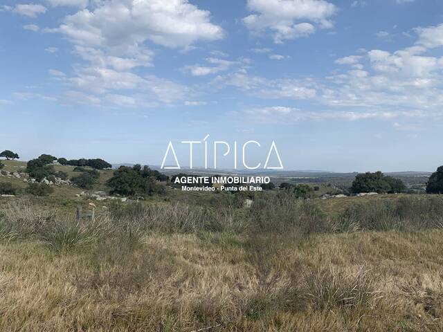 #175 - Chacra para Venta en San Carlos - UY-MA - 1
