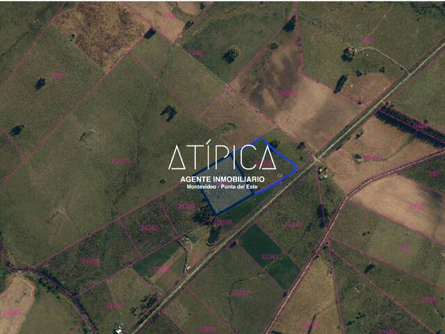 #196 - Chacra para Venta en San Carlos - UY-MA - 2