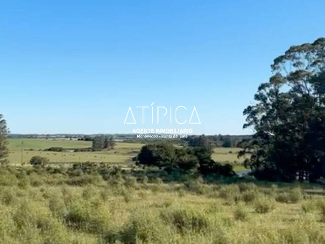 #196 - Chacra para Venta en San Carlos - UY-MA - 3