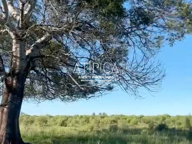 Chacra para Venta en San Carlos - 5