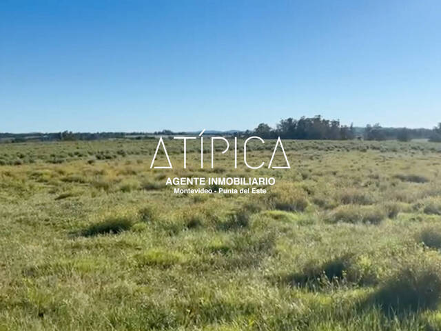 #196 - Chacra para Venta en San Carlos - UY-MA - 1