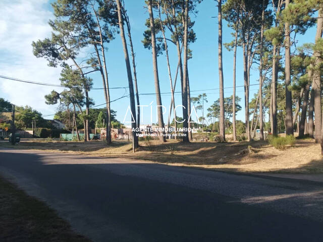 #204 - Terreno o Lote para Venta en Maldonado - UY-MA - 2