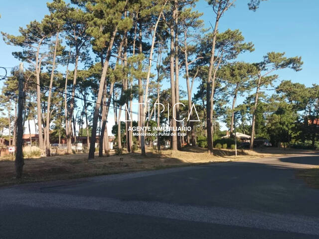Terreno o Lote para Venta en Maldonado - 5