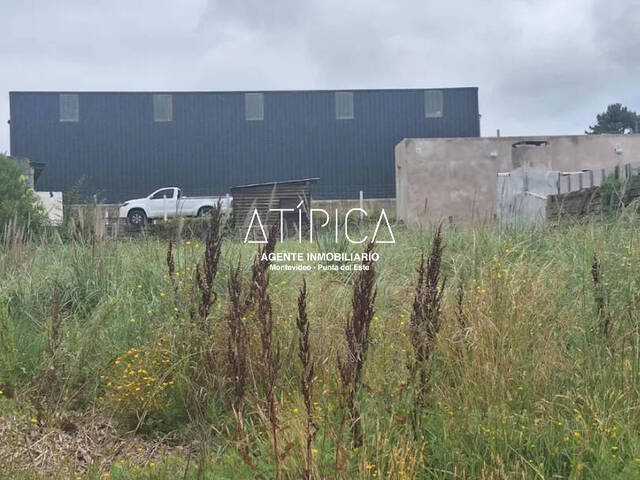 Terreno o Lote para Venta en Maldonado - 4