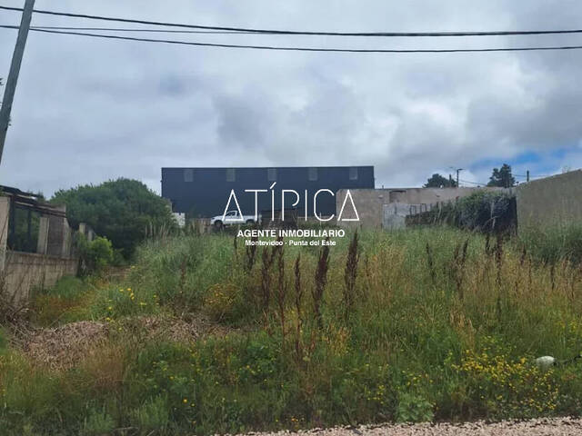 Terreno o Lote para Venta en Maldonado - 5