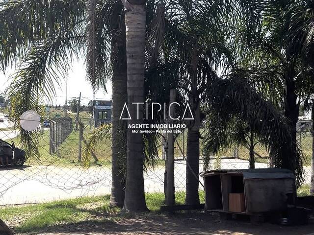 #222 - Depósito/Galpón para Venta en Maldonado - UY-MA - 1